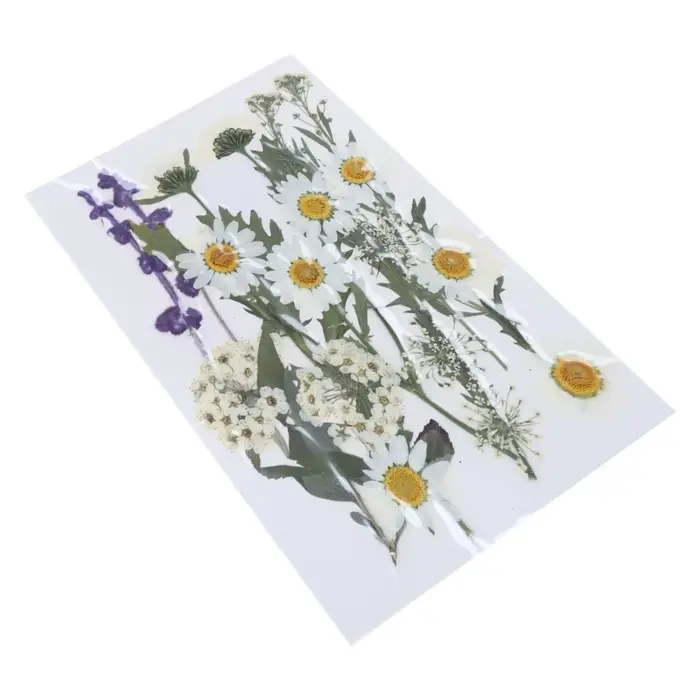 Fleur séchée pressée pour moules en résine