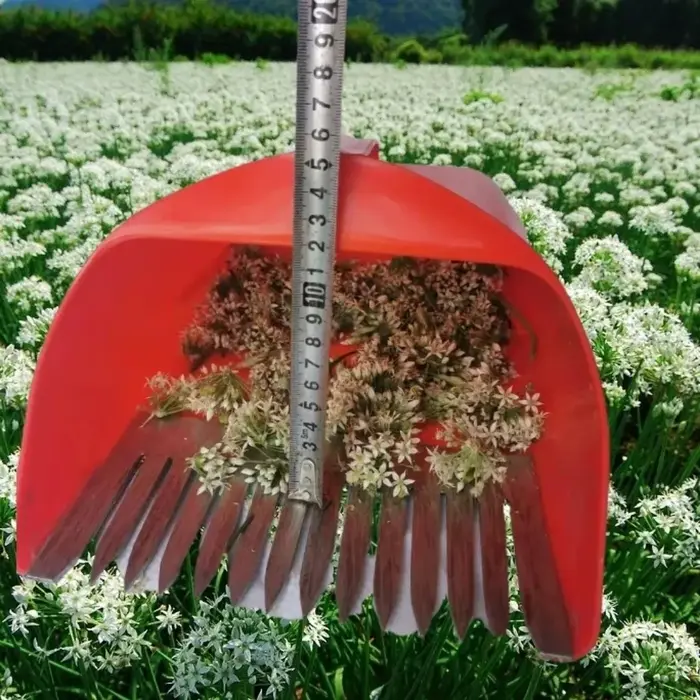 Outils de cueillette en métal de fleur de poireau, panier de récolte, râteau portatif de cueilleur, 