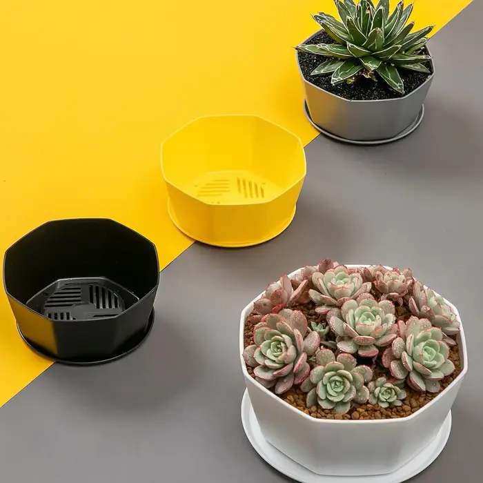 Pot de fleurs pour plantes succulentes