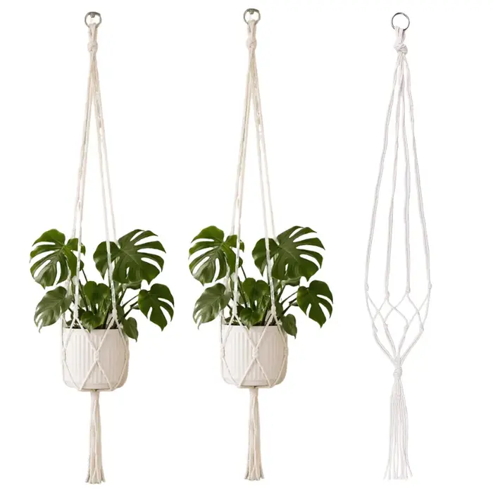 Pot de plante suspendu