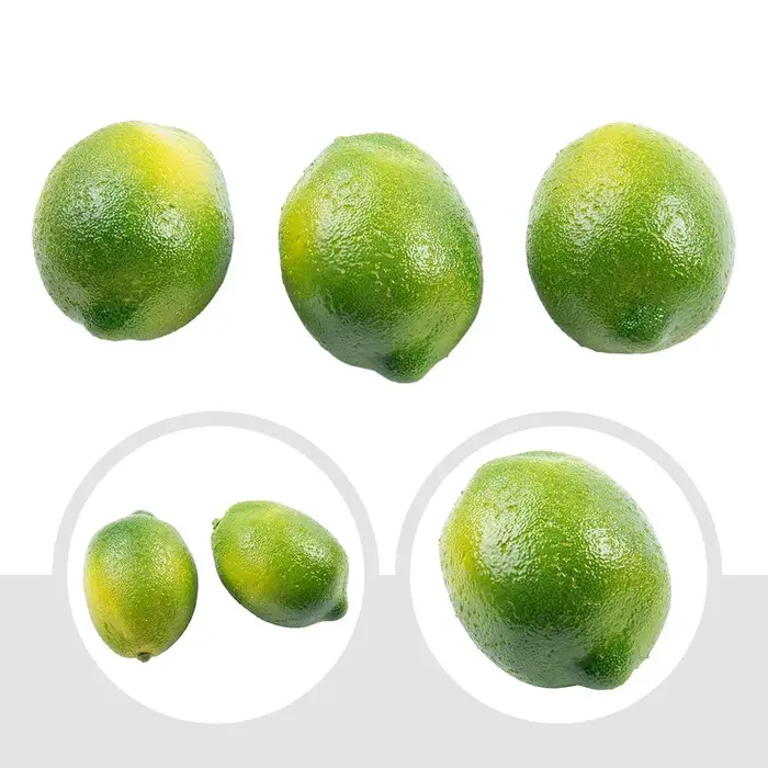 Citrons Artificiels Polyvalents