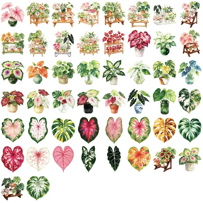 Ensemble de 50 autocollants représentant des plantes de caladium en pot, idéal pour décorer un ordinateur portable, un téléphone, une valise, une guitare, un carnet, une bouteille d’eau, un skateboard