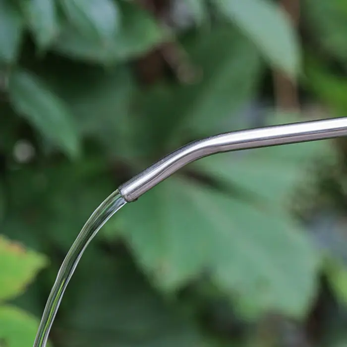 Arrosoir pour plantes d'intérieur 2L à long bec