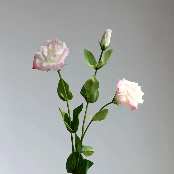 3 fleurs d'eustoma 3 fourchettes fausses