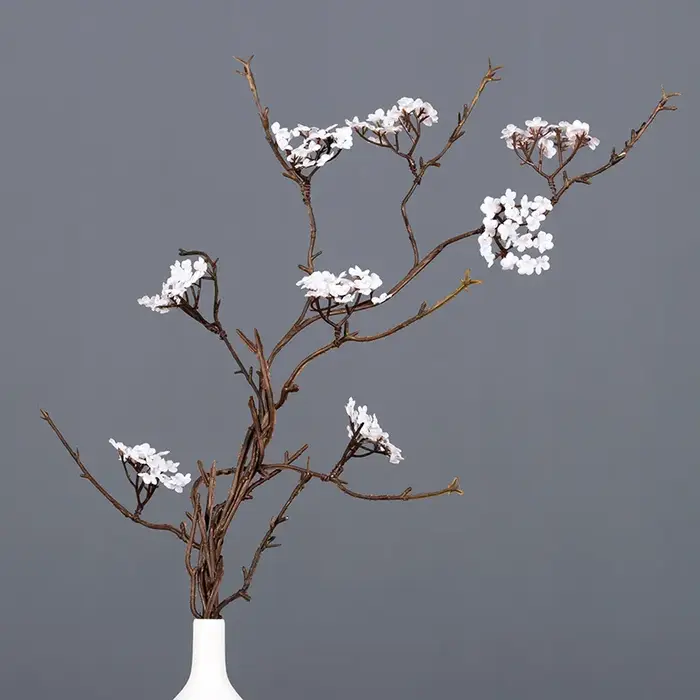 Branche de canne à fleurs de cerisier