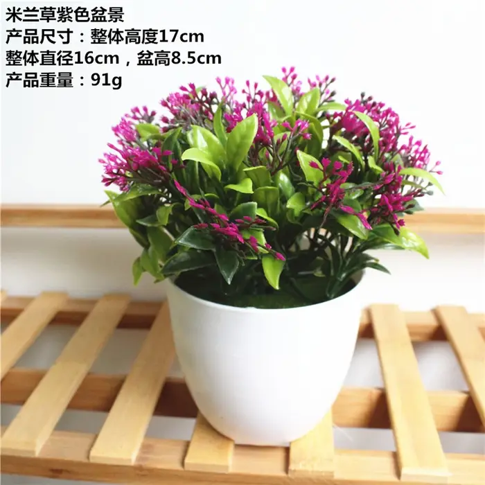 1 ensemble de plantes artificielles simulées succulentes herbe de Milan bonsaï en plastique blanc Pot de fleur accessoires de décoration pour la maison