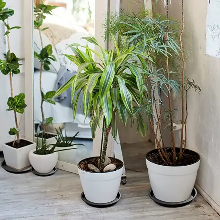 Pot de fleur rond en PP pour plantes succulentes