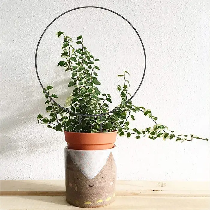 Piquet de support de plante de jardin en forme de coeur