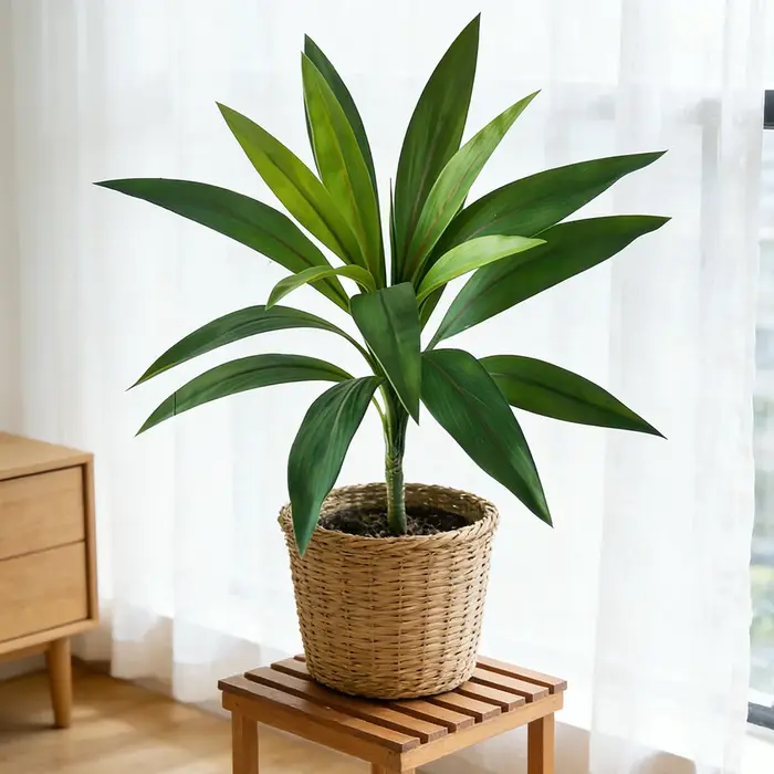 Plantes artificielles Dracaena de 45 cm à 17 feuilles