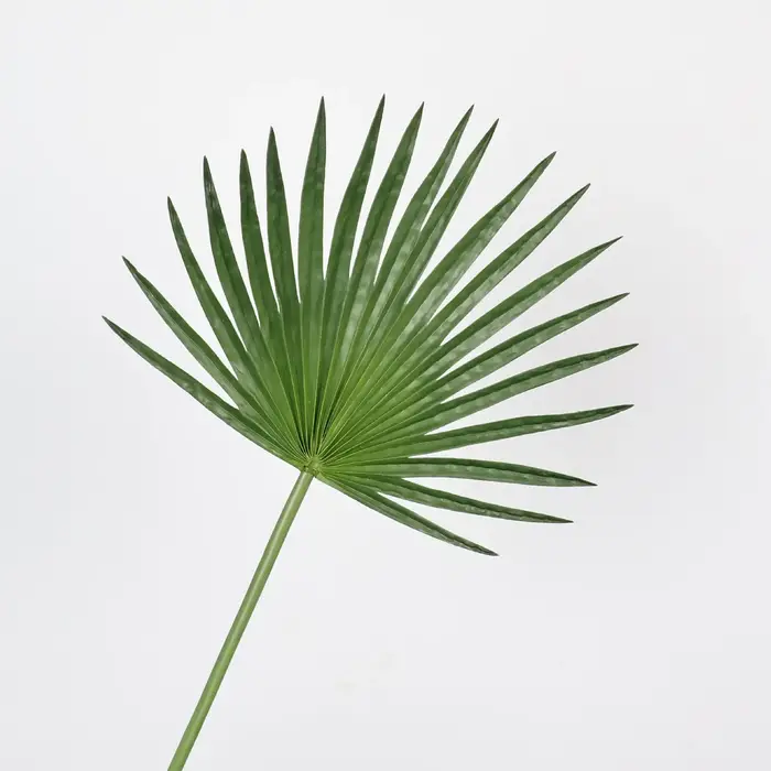 Feuille de palmier artificielle de 26 pouces