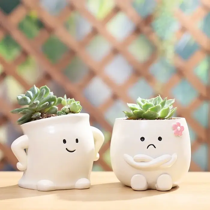 Mini Pot de plantes en résine avec visage Smiley