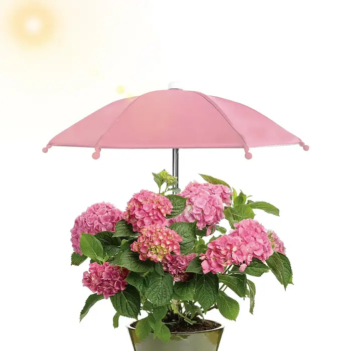 Parasols pour plantes d'extérieur de 27 cm