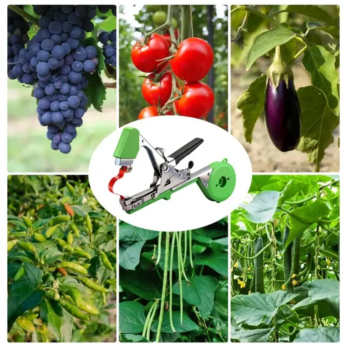 Machine à lier les branches de plantes, attacheuse de plantes de jardin, outil de ligature pour légumes hachés, tapener, outils de jardinage