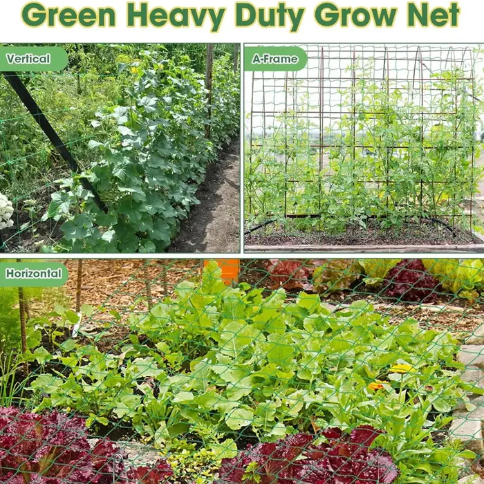 Filet de grimpement robuste pour plantes