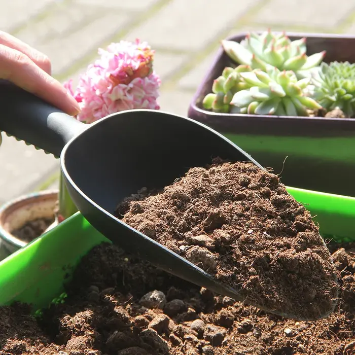 Pelle de jardin pour plantes