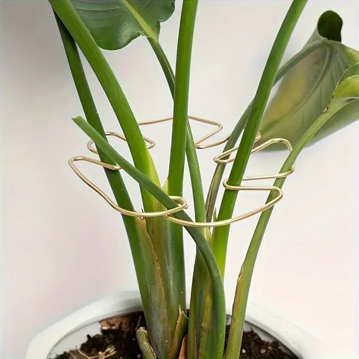 Grand support pour plantes suspendues