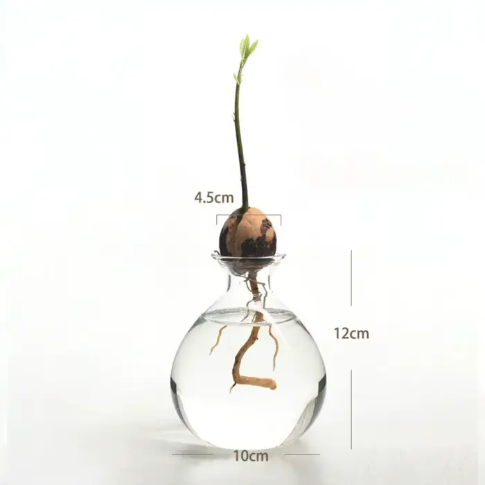 Kit de plantes en verre avec autocollants pour les amateurs de jardinage, vase de démarrage pour les