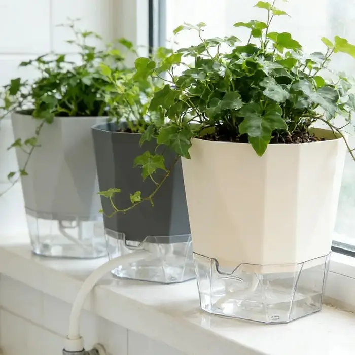 Pots de plantes auto-arrosants
