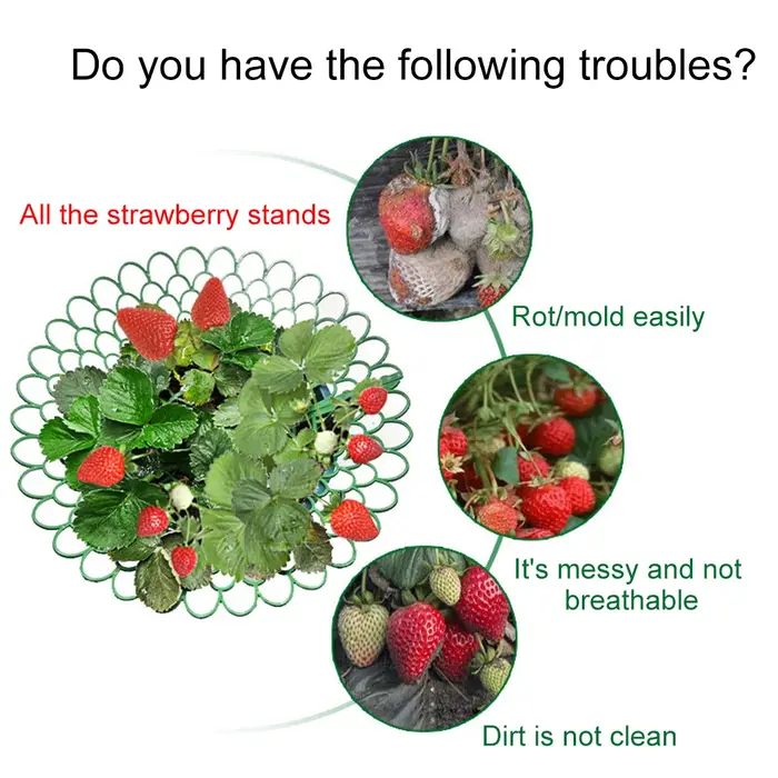 Supports de fraises, 5 pièces