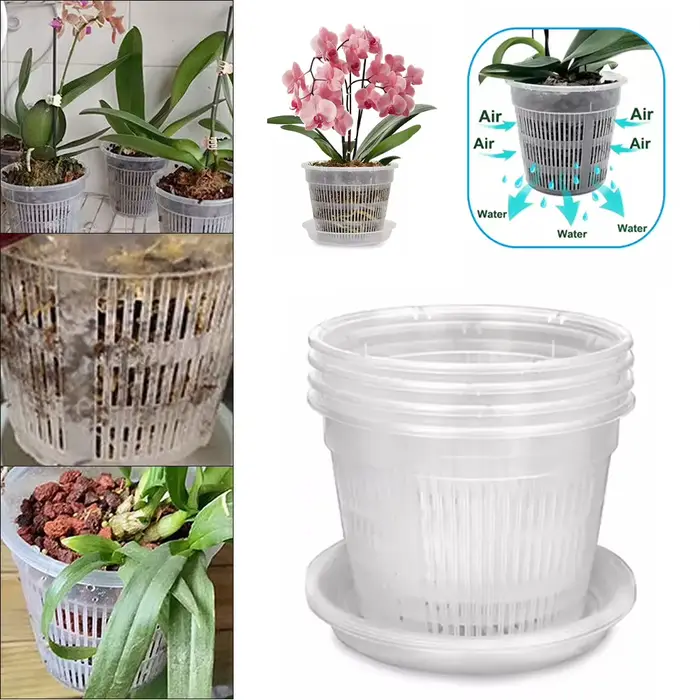 Pot d'orchidée avec soucoupes