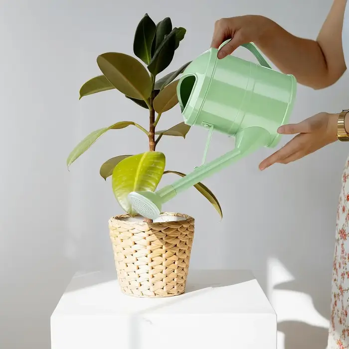 Arrosoir pour plantes de 1