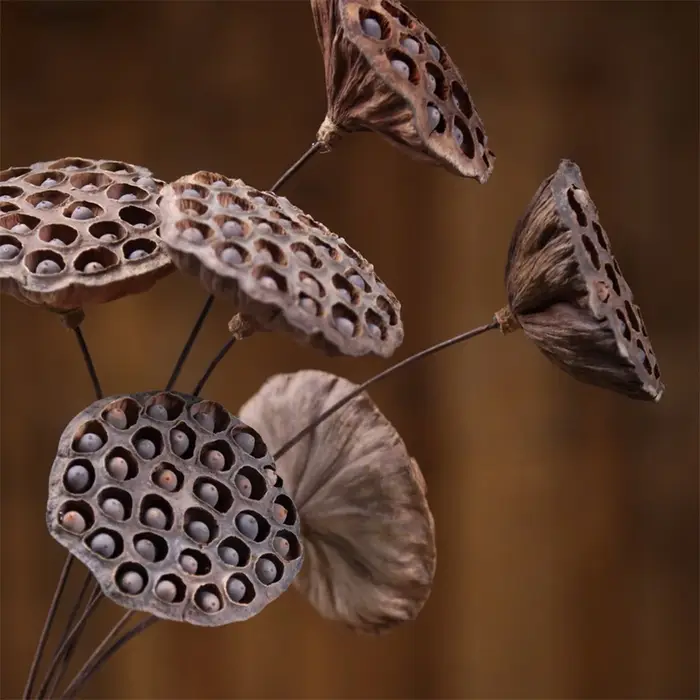 Fleurs de Lotus naturelles artificielles