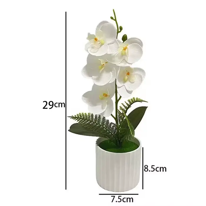 Pot de barre verticale avec 5 orchidées papillon