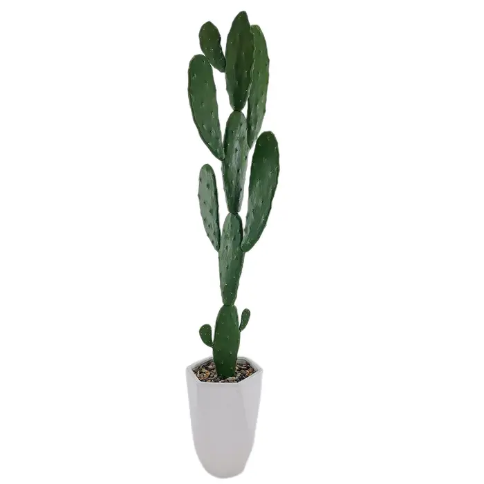 Grandes Plantes Artificielles Pantum Succulentes avec Pierre et Pot de Fleur en Céramique