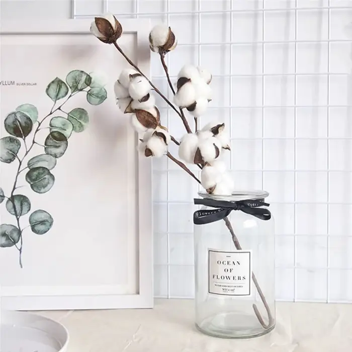 Fleurs de coton séchées naturellement
