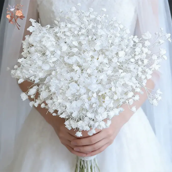 Fleurs de Gypsophile Blanches Séchées Naturelles