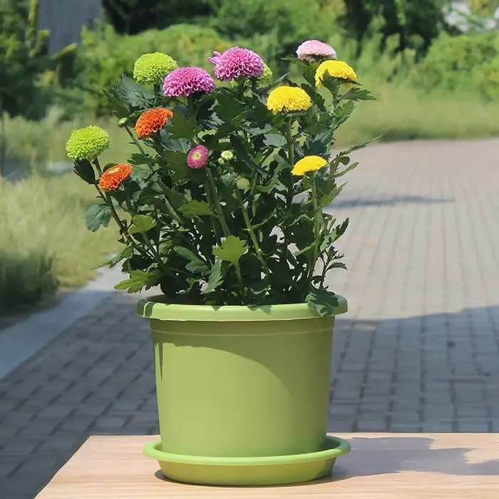 Pot de fleurs épaissi avec plateau