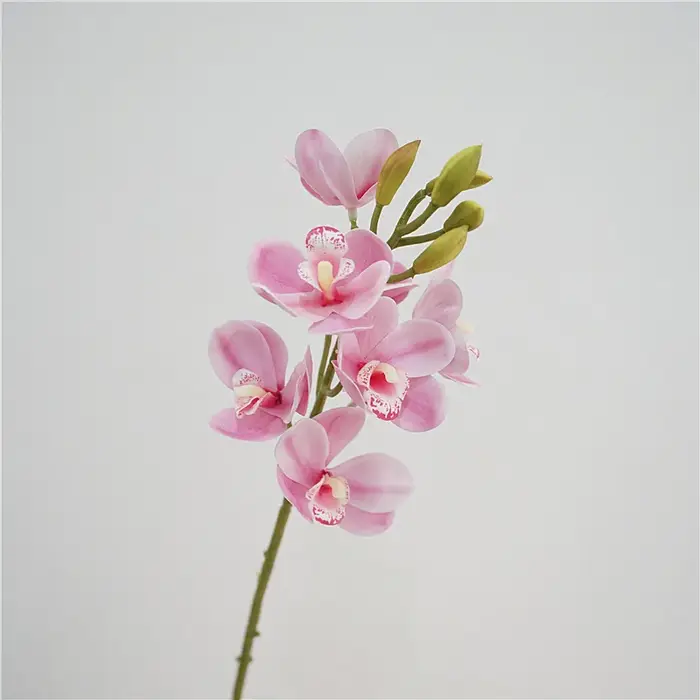 Cymbidium en Latex au Toucher Réel