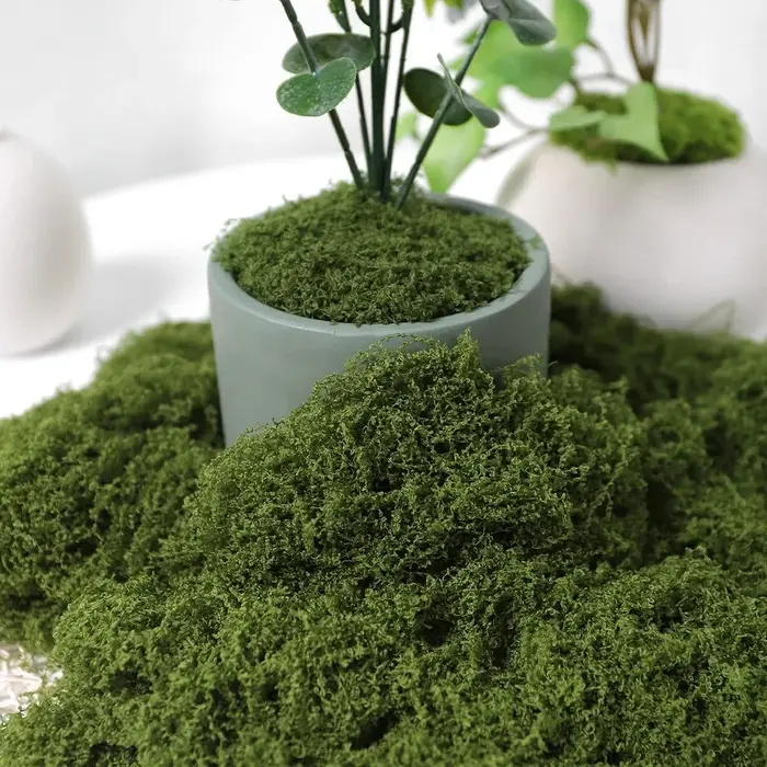 Plantes vertes artificielles