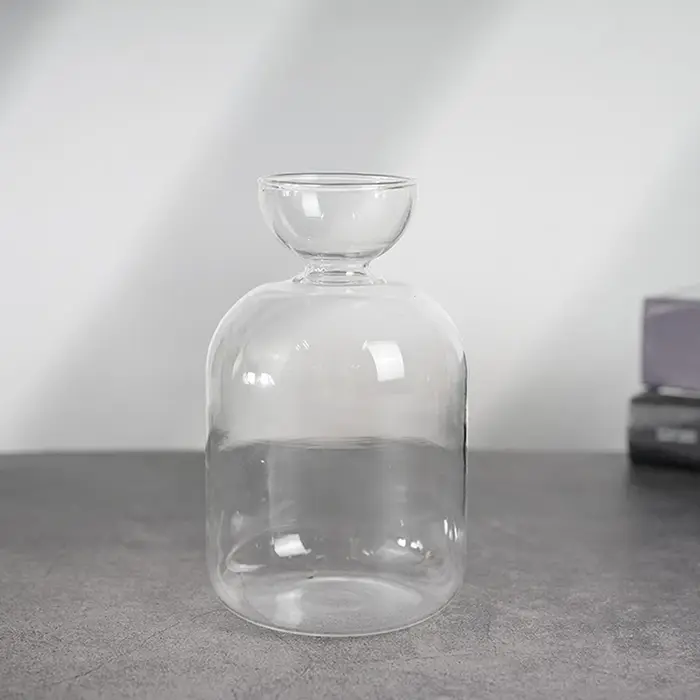 Vase de démarrage de graines d'avocat, Vase en verre Transparent pour plantes en croissance, Kit de culture de graines en verre pour les amateurs de jardinage