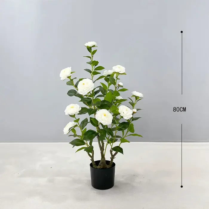 Simulation de camélia artificielle