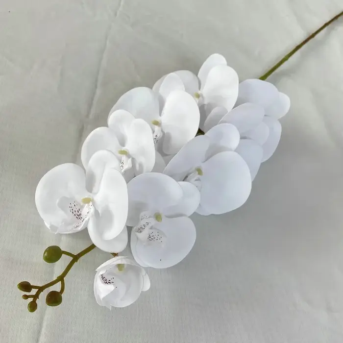 Orchidée française papillon artificielle pour la décoration de la maison