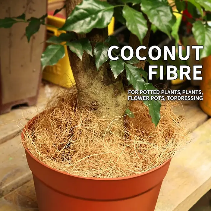 50g/100g Fibres de coco naturelles et biologiques longues pour couverture de pot de plantes