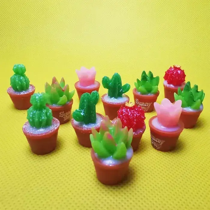Plantes succulentes en résine