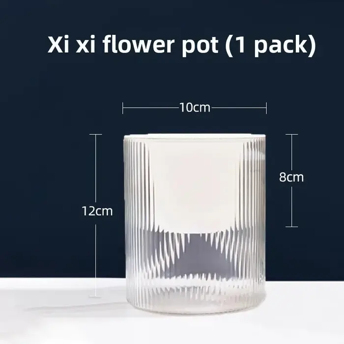 Pot de fleurs transparent en plastique à absorption automatique d'eau pour radis vert