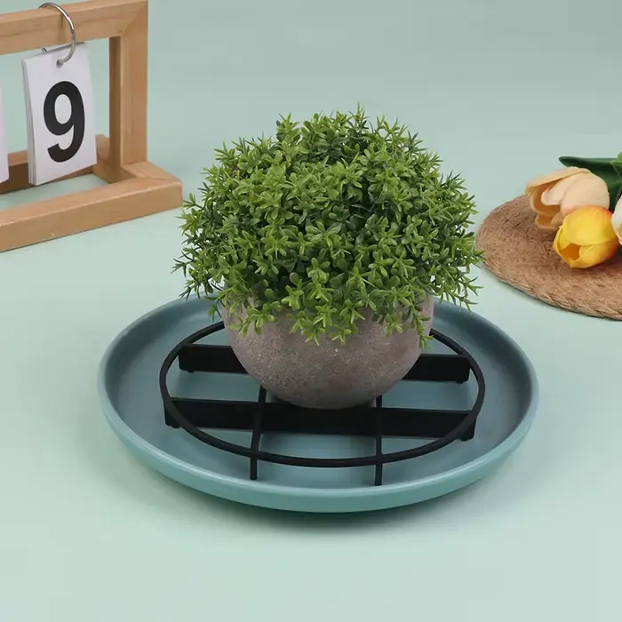 Lot de 10 soucoupes en plastique anti-moisissure pour pots de fleurs