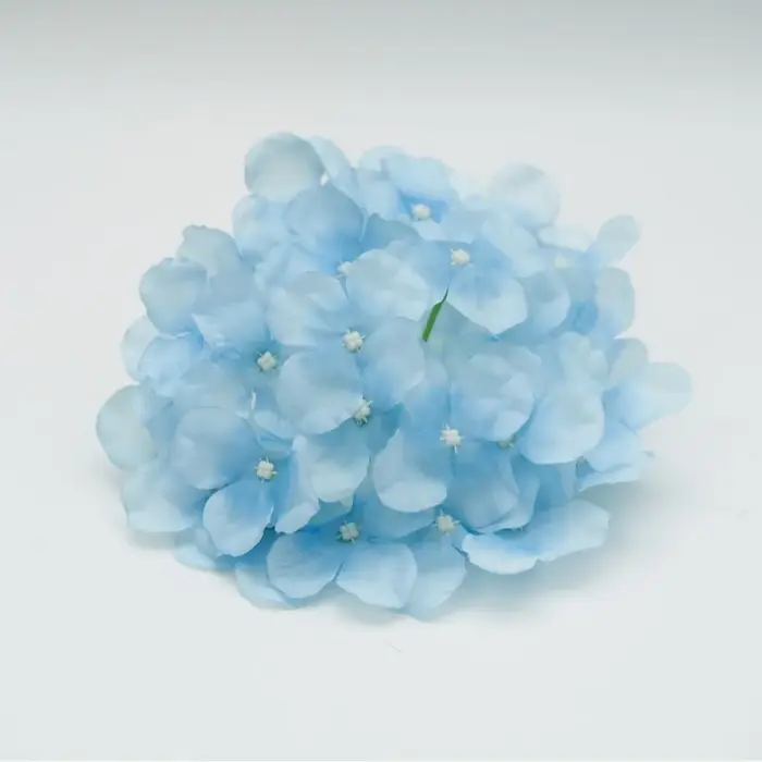 Tête de fleur d'hortensia de Simulation