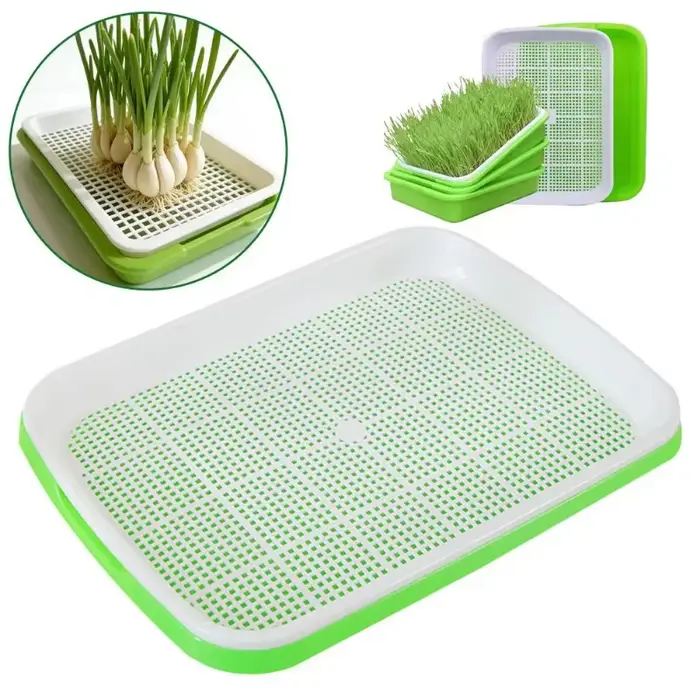 Bac de germination pour semis sans terre