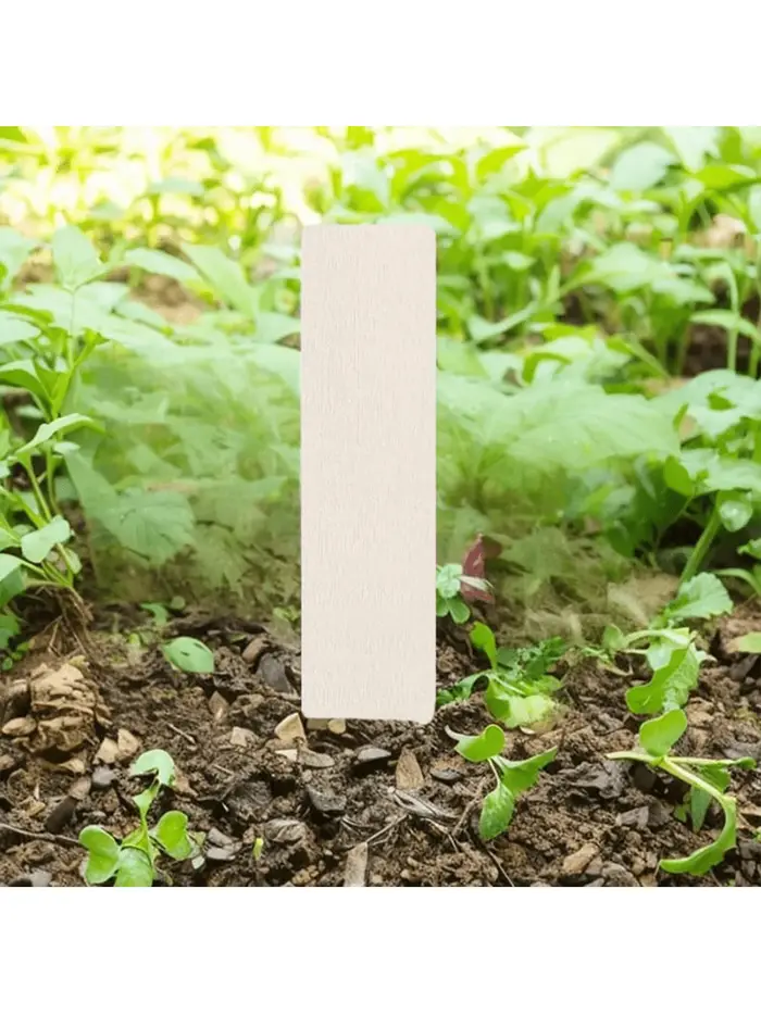 Étiquettes pour plantes de 4 pouces