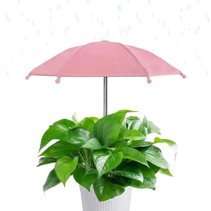 Parasols pour plantes, couverture d'ombrage, protection UV, parasol décoratif pour jardin, pour balcon, protection solaire pour plantes