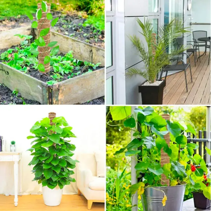 Poteau d'escalade pour plantes