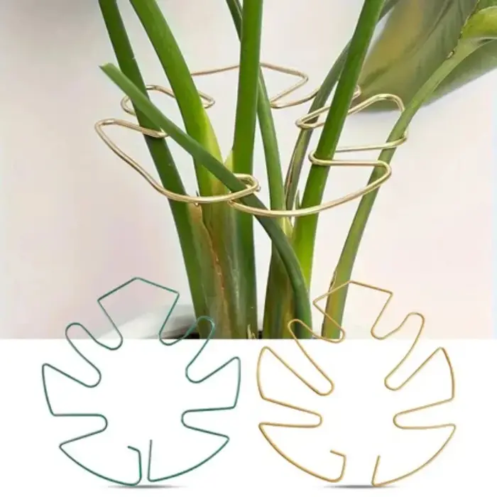 2 supports suspendus fixes en fer pour plantes