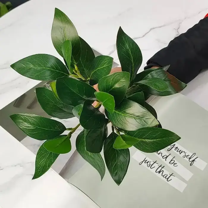 Plantes artificielles Acorn Peperomia 30 cm vertes