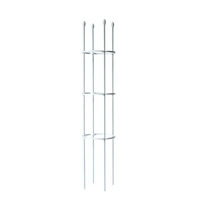 Cages de Support pour Plantes Grimpantes