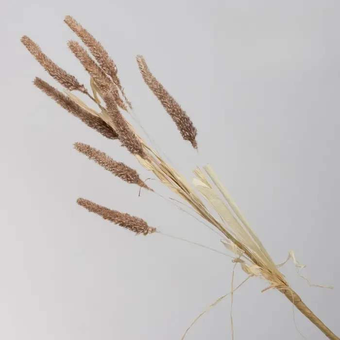 10 pièces de fleurs artificielles en plastique, plantes de roseaux à 9 têtes, décoration de restaura