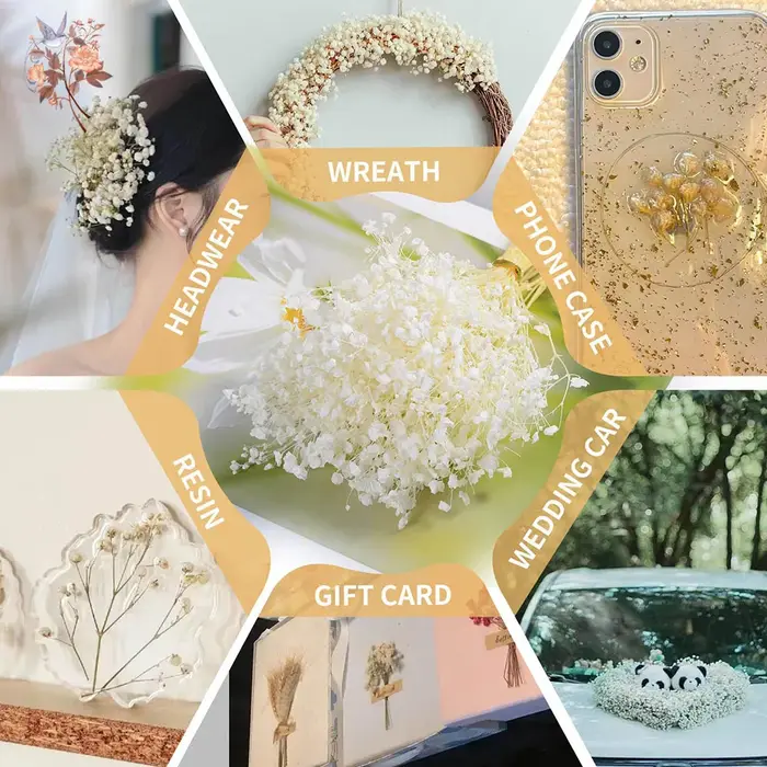Mini-bouquet de 50 petites fleurs séchées de gypsophile blanches en vrac pour décoration rustique de maison